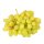 Sultanas Trauben -  kernlos