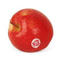 Pink Lady Äpfel - Neue Ernte