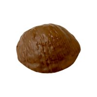 Lebkuchen Elisennuss