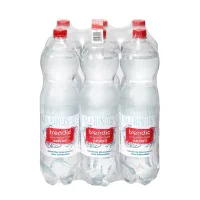 Trendic Naturell Wasser (6x1,5l)