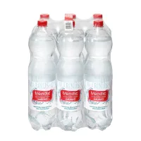 Trendic Naturell Wasser PET (6x1,5l)
