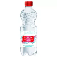 Trendic Naturell Wasser (6x0,5l)