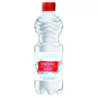 Trendic Naturell Wasser PET (6x0,5l)