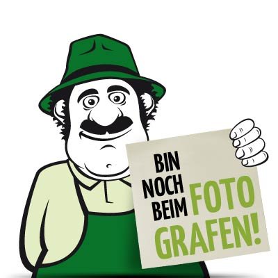 BIO Glutenfrei M&uuml;sli - Nachf&uuml;llpackung (570g)