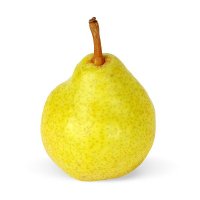 Williams Birne - neue Ernte