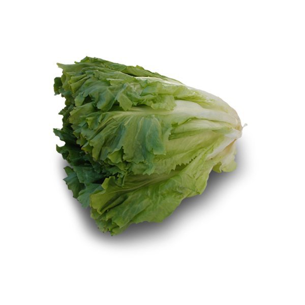 Endiviensalat - fr&auml;nkisch
