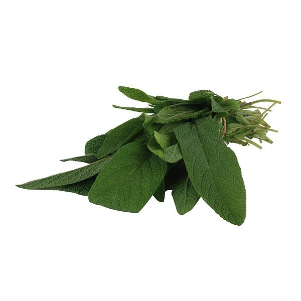 Salbei - fr&auml;nkisch