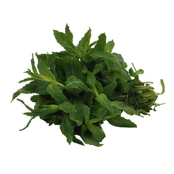 Minze - fr&auml;nkisch